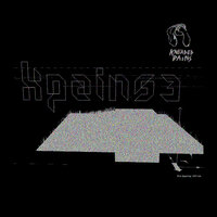 029 - The Reason Y