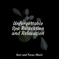 Tranquil Melody - Oasis de Détente et Relaxation & Música de la Naturaleza & White Noise Baby Sleep