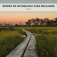 Sonido De Luna - Sonido Del Bosque y Naturaleza & Relajante & Musica Relajante Specialistas