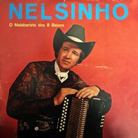 Piada do pintinho - Nelsinho