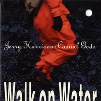 I Don't Mind - Jerry Harrison