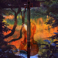 Serotonin Release Relax - Zen Meditation Garden & Violin Collective & Instrumental Zone