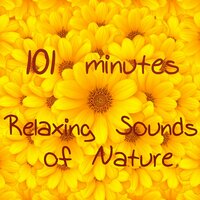 Bonus Track: Relax Song - Buddha Tribe