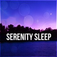 Positive Thinking - Sleepy Music Zone