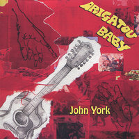 I Can't Find the Moon - John York