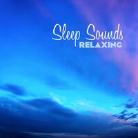 Moonlight and Dawn - Deep Sleep Music Guru