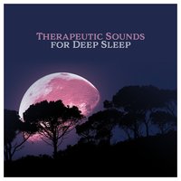 Spiritual Journey - Mindfulness Meditation Unit