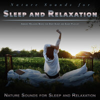 Deep Sleep Music with Nature Sounds - Nature Sounds for Sleep and Relaxation & Deep Sleep & Sleep Playlist