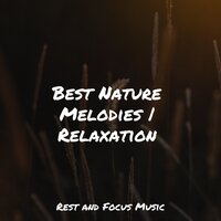 A Peaceful Place - Yoga Sounds & Meditation Zen & Alpha Waves