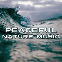 Nature Sound Track - Ambient Nature Music