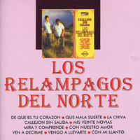 Mi Jarochita - Los Relampagos del Norte