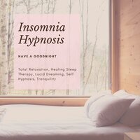 Insomnia Hypnosis - Insomnia Cure Maestro
