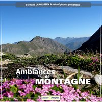 Craves et chocards - Fernand Deroussen