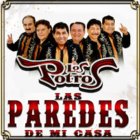 El Muchacho Alegre - Los Potros