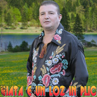 Vreau sa uiti numele meu - Calin Crisan