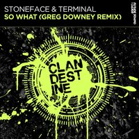 So What - Stoneface & Terminal