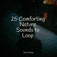 Rain Collection - Avslappning Sound & Relaxing Music Therapy & Water Sound Natural White Noise