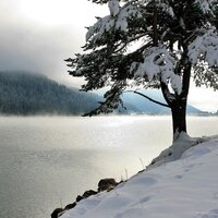 Life Without Anxiety - Piano Bar Music Specialists, Jazz Time Records, Peaceful Zen & Piano Bar Music Specialists & Peaceful Zen & Jazz Time Records