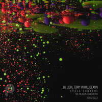 Space Control - DJ Lion & Tomy Wahl & Dexon