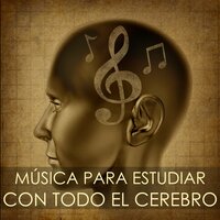Tibetan Singing Bowls - Musica para Estudiar Specialistas