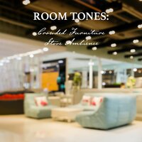 Crowded Furniture Store Ambience, Pt. 11 - Nowak Sommer
