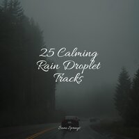 Endless Rains - Relaxation Personal Guru & Nature Sounds XLE Library & Relaxing Mindfulness Meditation Relaxation Maestro