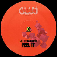 Feel it - ZETT & Grig (Ro)