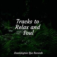 Bath Music - Yoga Namaste & Happy Baby Lullaby Collection & Rainfall For Sleep