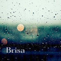 Brisa - Monkey