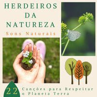 Aliviar a Tensão - Beatriz Natureza Flores
