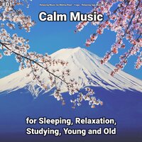 Calm Music, Pt. 73 - Relaxing Music by Melina Reat & Yoga & Relaxing Spa Music