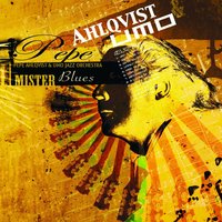 Senor Blues - Pepe Ahlqvist
