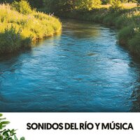 Melodía pacífica y crepitante - Brain Timbre & Rivers and Streams & Brainwave Samples