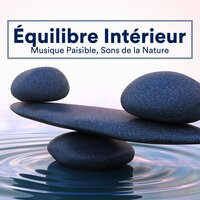 La nuit noire (Musique antistress) - Oasis de Détente et Relaxation & Berceuse Academie & Oasis de Détente et Relaxation & Berceuse Academie