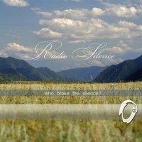 Little Things - Radio Silence