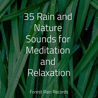 Crackling Embers - Rainforest & Monarch Baby Lullaby Institute & Pink Noise
