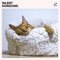 Calm Nightfall - The Deep Sleep Music Academy & Deep Sleep Academy & Calm Sleep Zone & Sleep Music Collection