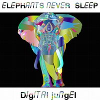 Craw - Elephants Never Sleep