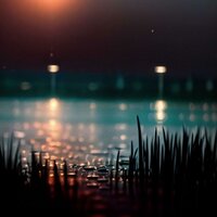 sunrise - WerQ