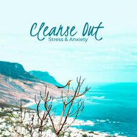 Peace of Mind - Anti Stress Music Zone