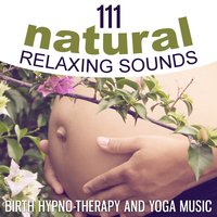 Mindfulness Meditation - Relaxing Music Guys