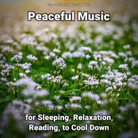 Peerless Relaxing Music - Relaxing Spa Music & Yoga Music & Yoga