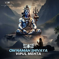 Om Namah Shivaya - Vipul Mehta
