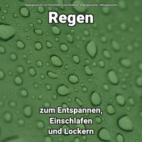 Ansprechende Ahnung - Regengeräusche zum Einschlafen Franco Rodewig & Regengeräusche & Naturgeräusche