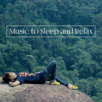 Total Relaxation - Oasis of Relaxation and Meditation