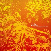 Whirlwound - Kelpe