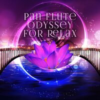 Desert Spa - Odyssey for Relax Music Universe