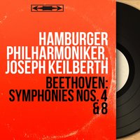 Symphonie No. 4 in B-Flat Major, Op. 60: I. Adagio - Allegro vivace - Hamburger Philharmoniker & Ludwig van Beethoven