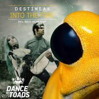 Into The Fire - Destineak