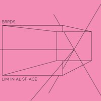 Make Better Choices - BRRDS